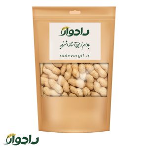 بادام-زمینی-آستانه-اشرفیه