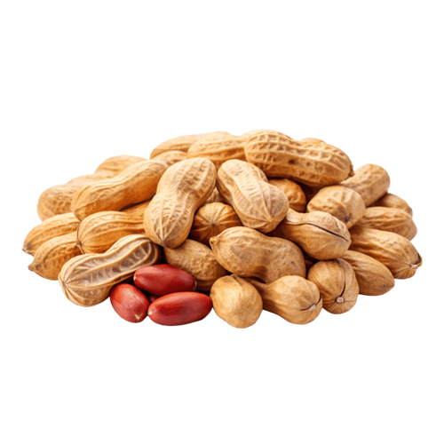 بادام زمینی آستانه